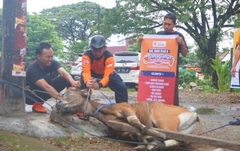 Idul Adha, PKS Makassar Salurkan Daging Kurban di 15 Kecamatan
