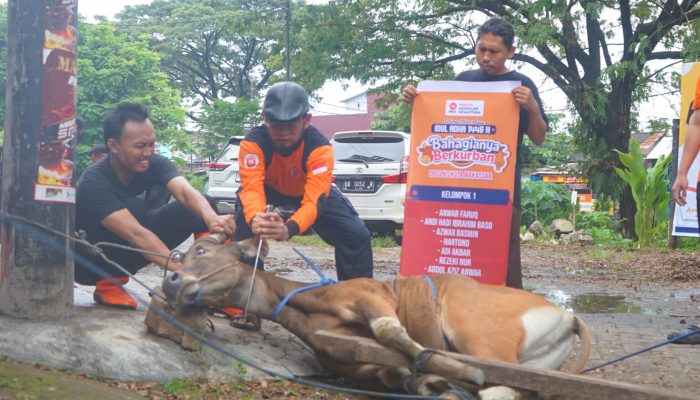 Idul Adha, PKS Makassar Salurkan Daging Kurban di 15 Kecamatan