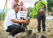 Bupati Luwu Pastikan Pendampingan Petani hingga Hilirisasi Kakao