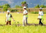 Gubernur Sulsel Tinjau Progres Paket 3 MYP Rehabilitasi DI Leang Londrong Pangkep, Perkuat Pasokan Air untuk 1.200 Hektare Sawah